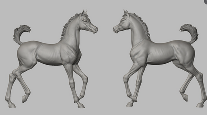 Rennendes Fohlen Bruce  von Breathtime