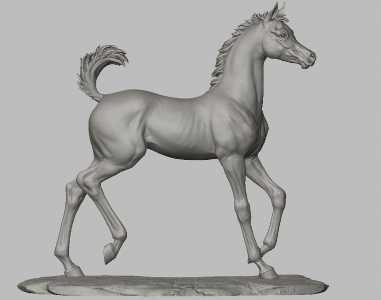 Poulain au galop Bruce par Breathtime