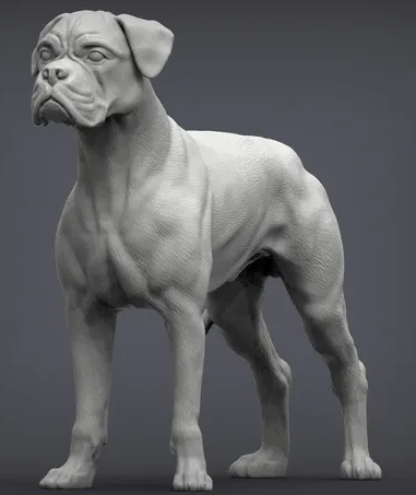 Boxxer von Alexander3dArt