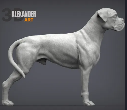 Boxxer von Alexander3dArt