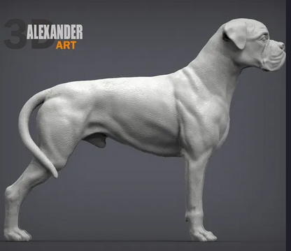Boxxer von Alexander3dArt