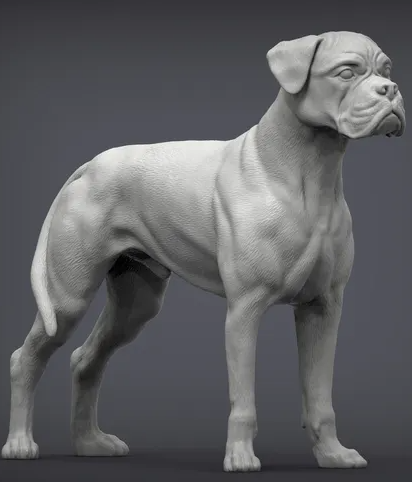 Boxxer von Alexander3dArt