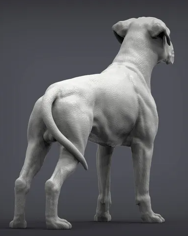 Boxxer von Alexander3dArt