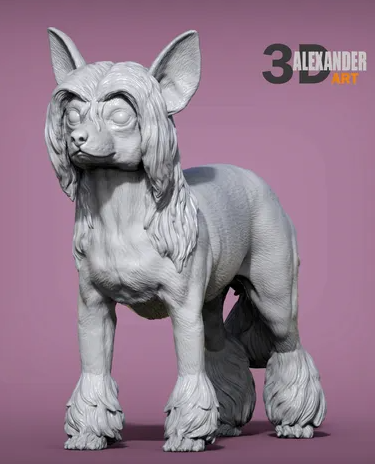 Chinese Crested von Alexander3dArt