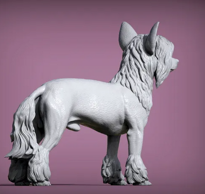Chinese Crested von Alexander3dArt