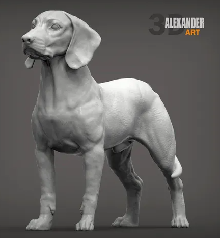 Bayerischer Gebirgsbluthund von Alexander3dArt