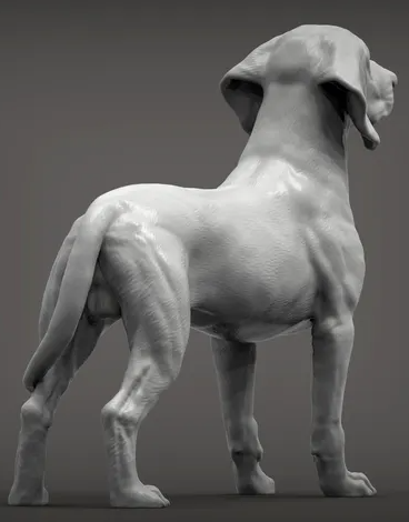 Bayerischer Gebirgsbluthund von Alexander3dArt