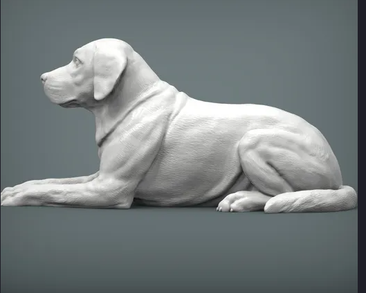 Labrador ( liegt ) von Alexander3dArt