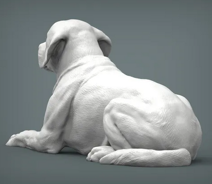 Labrador ( liegt ) von Alexander3dArt