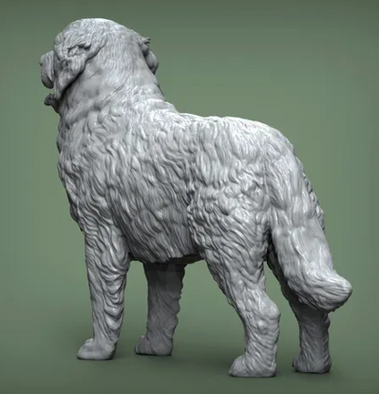 Berner Sennenhund von Alexander3dArt als 3D Druck
