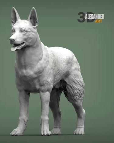 Belgischer Malinois von Alexander3dArt