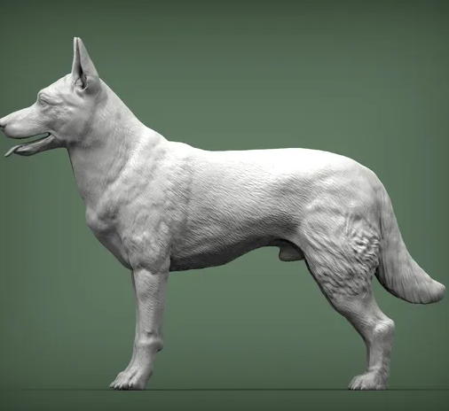 Belgischer Malinois von Alexander3dArt