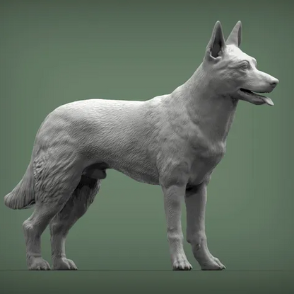 Belgischer Malinois von Alexander3dArt