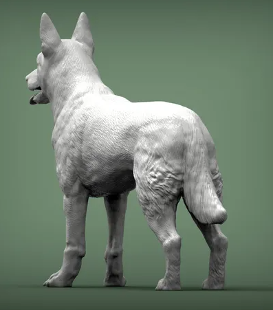 Belgischer Malinois von Alexander3dArt