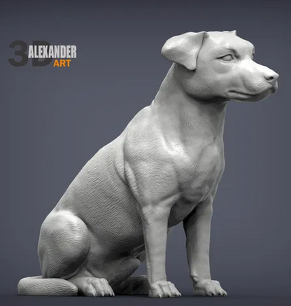Sitzender Jack Russel von Alexander3dArt