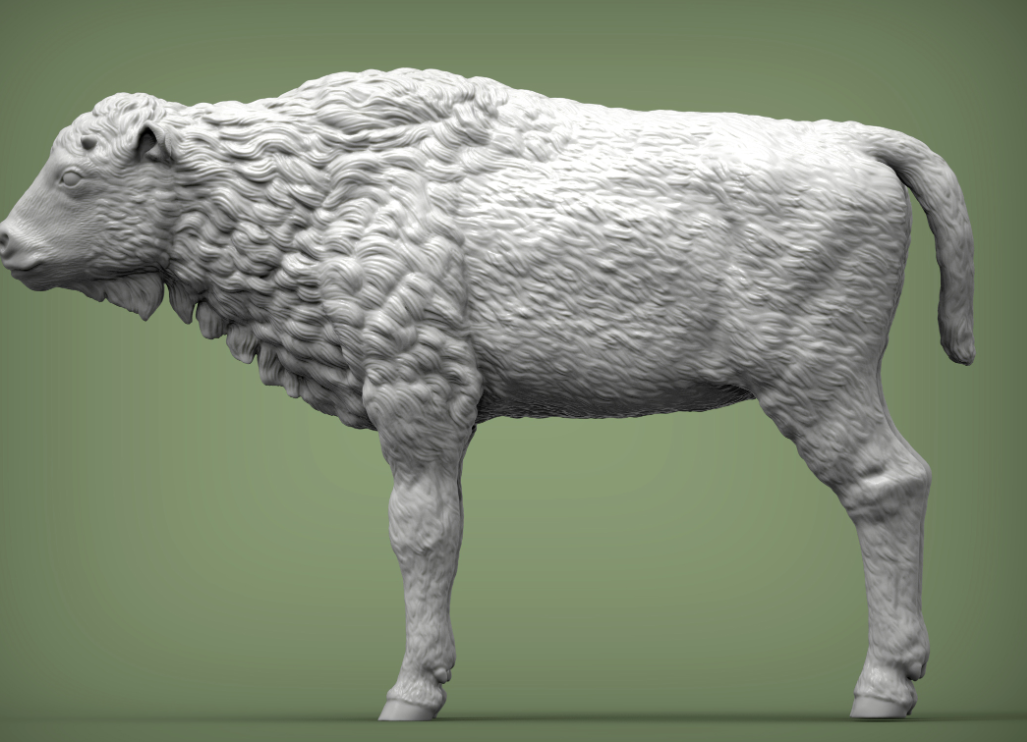 Bison Kalb von Alexander3dart als 3D gedruckte Figur