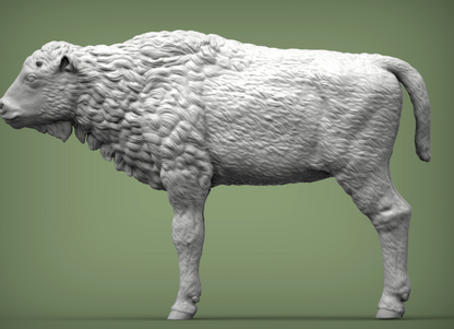 Bison Kalb von Alexander3dart als 3D gedruckte Figur