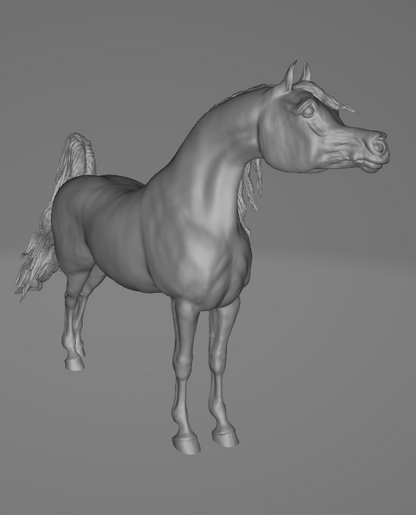 Araber "Sahad" von Aislinn Brender Ford / In Zusammenarbeit