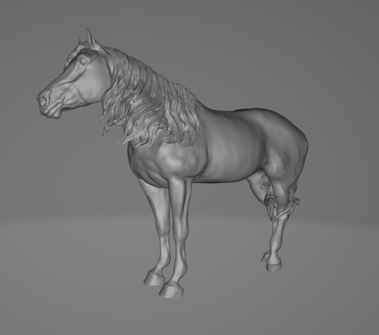 Stute "Duhit" von Aislinn Brender Ford / In Zusammenarbeit