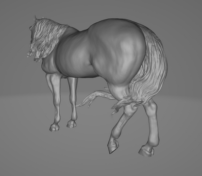 Stute "Duhit" von Aislinn Brender Ford / In Zusammenarbeit