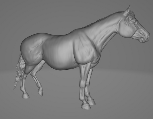 Schwangere Stute "Darlene" von Aislinn Brender Ford / In Zusammenarbeit