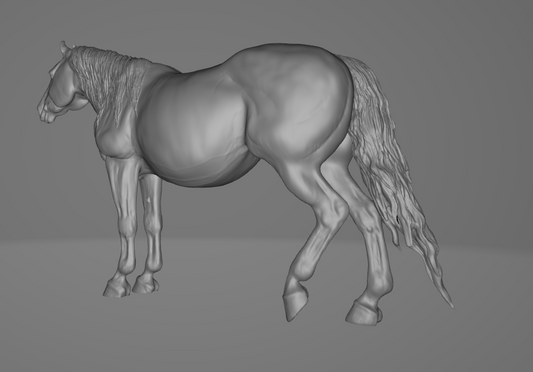 Schwangere Stute "Darlene" von Aislinn Brender Ford / In Zusammenarbeit