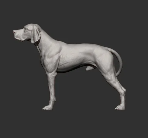 Englischer Pointer von Alexander3dArt