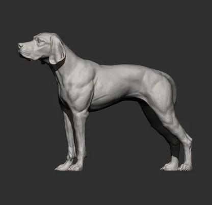 Englischer Pointer von Alexander3dArt