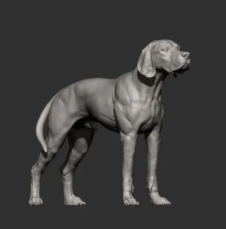 Englischer Pointer von Alexander3dArt