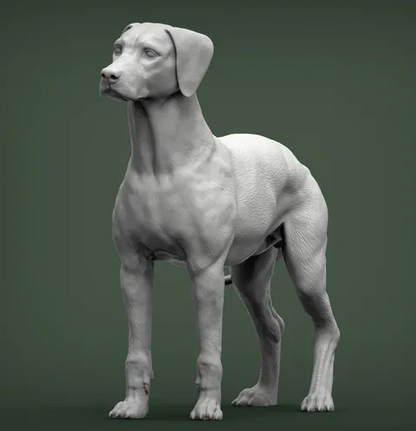 Dalmatiner von Alexander3dArt