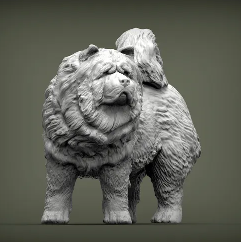 Chow Chow von Alexander3dArt