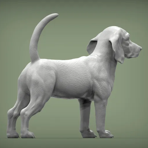 Beagle von Alexander3dArt