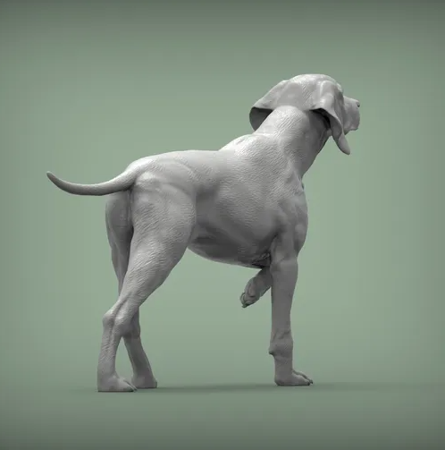 Wachsamer Ungarischer Vorstehhund von Alexander3dArt