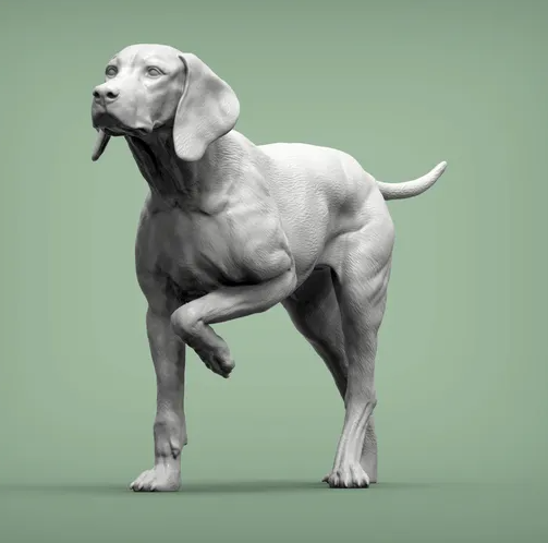 Wachsamer Ungarischer Vorstehhund von Alexander3dArt