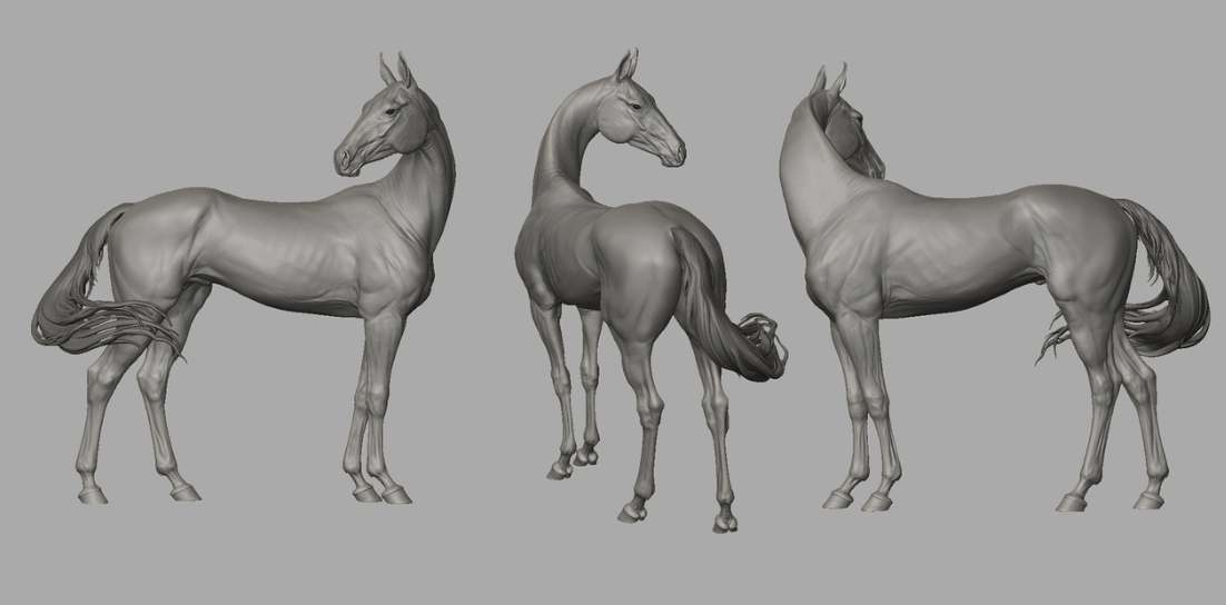 Akhal Teke "Loki" by BreathTime / Model Horse