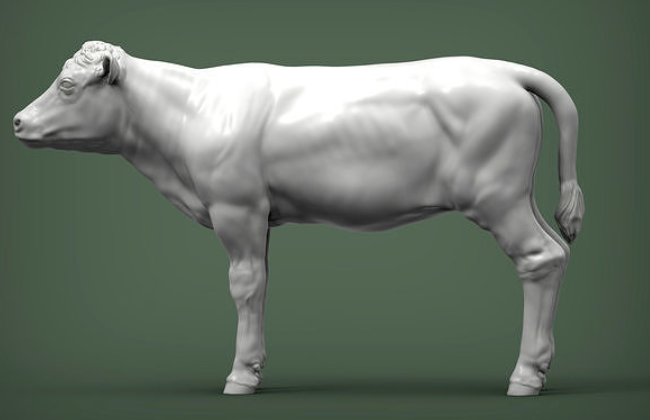 Kalb ( Mearl ) von Alexander3Dart