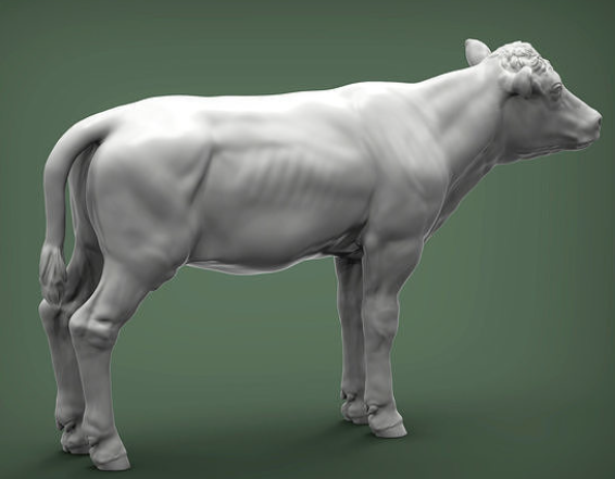 Kalb ( Mearl ) von Alexander3Dart