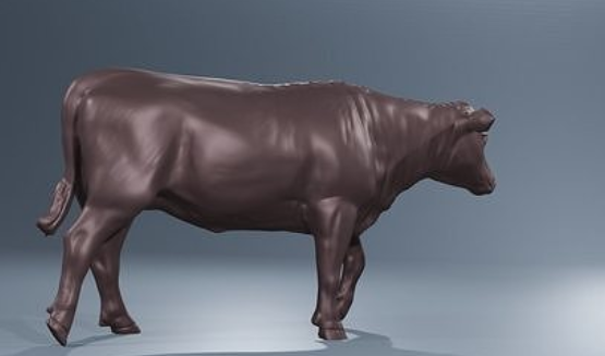 Junge laufende Kuh von PPD