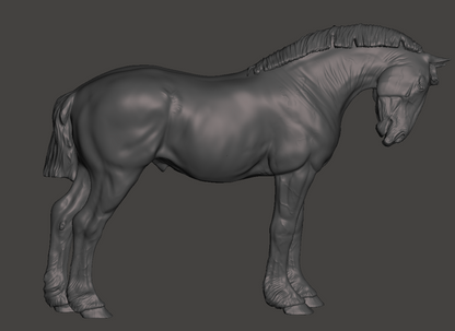 Draft Horse Hengst "Roland"  mit kurzer Mähne  von Mirek_Art als 3D Druck
