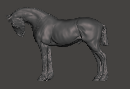 Draft Horse Hengst "Roland"  mit kurzer Mähne  von Mirek_Art als 3D Druck
