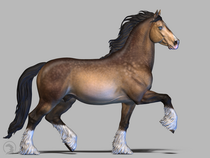 Edler Cob Hengst von Boppirex / Modellpferd