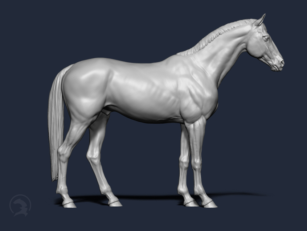 Standing Warmblood Stallion by Boppirex / Model Horse