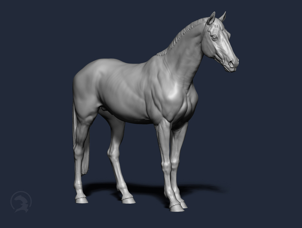 Standing Warmblood Stallion by Boppirex / Model Horse