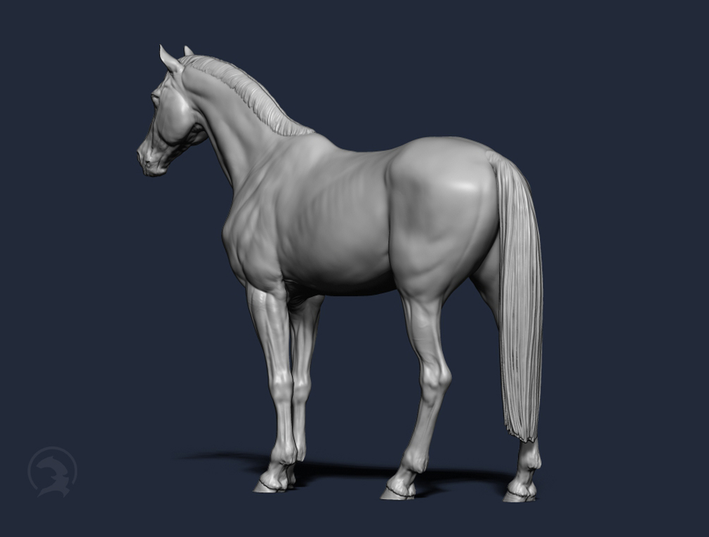 Stehende Warmblut Stute von Boppirex / Modellpferd