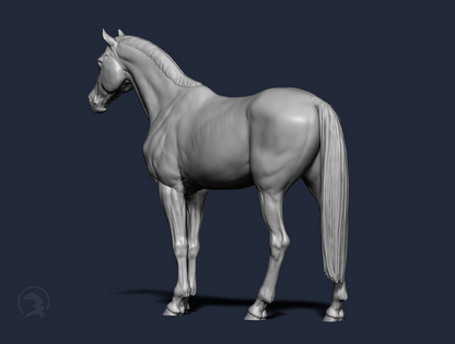 Stehende Warmblut Stute von Boppirex / Modellpferd