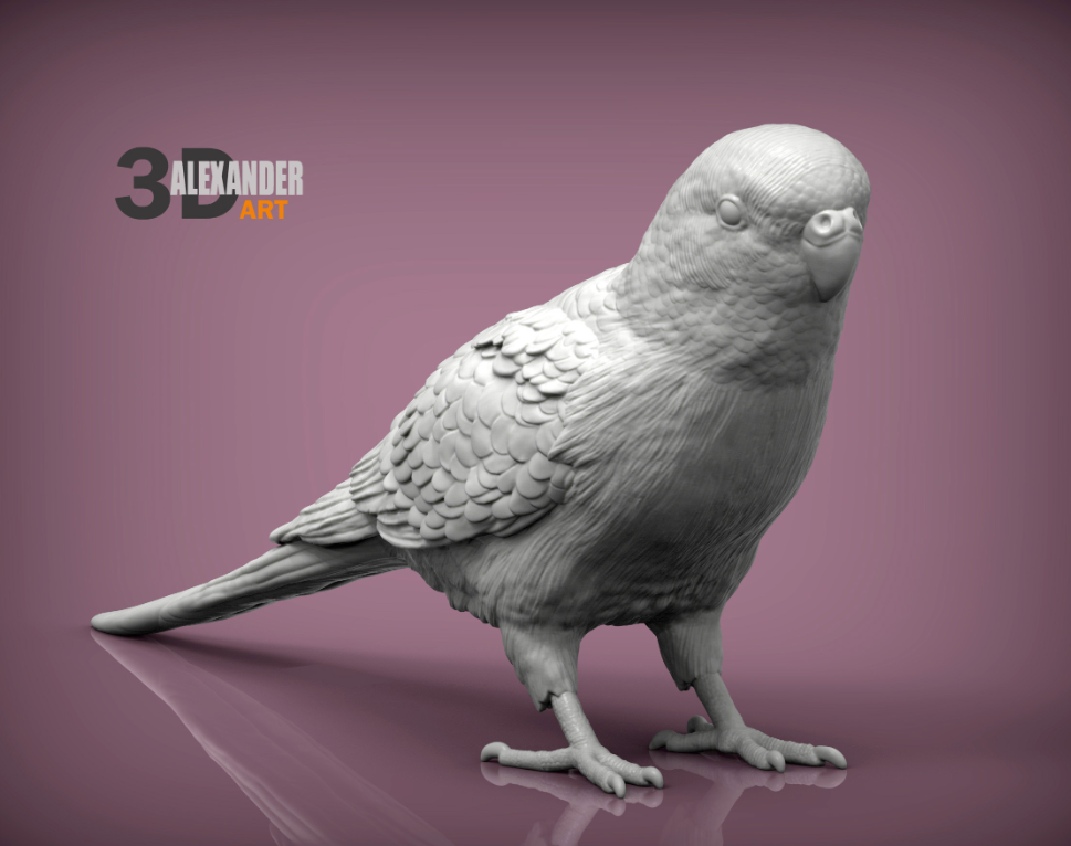 Wellensittich von Alexander3dArt als Tierfigur