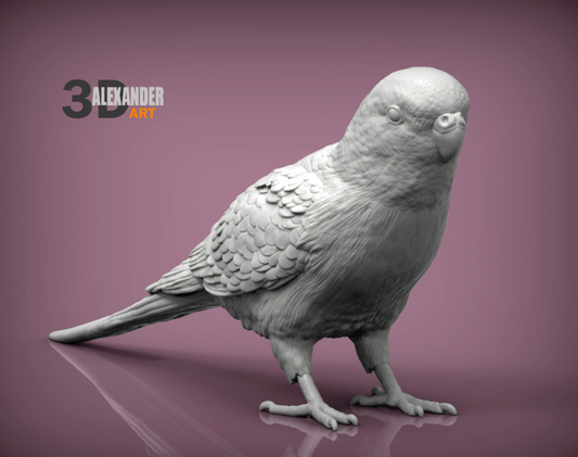 Wellensittich von Alexander3dArt als Tierfigur