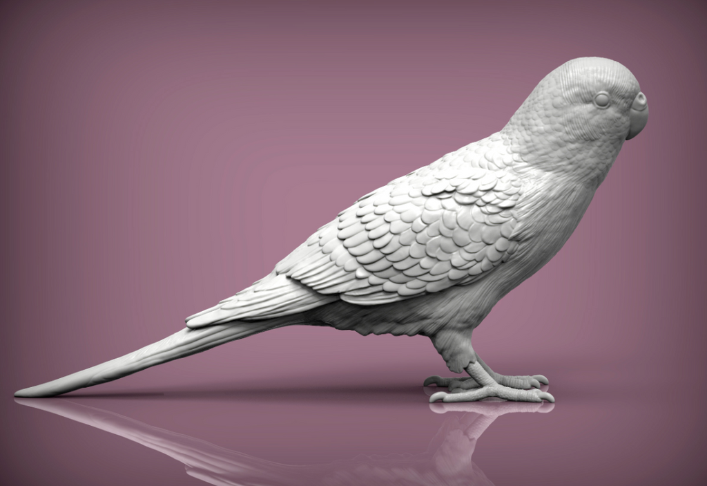 Wellensittich von Alexander3dArt als Tierfigur