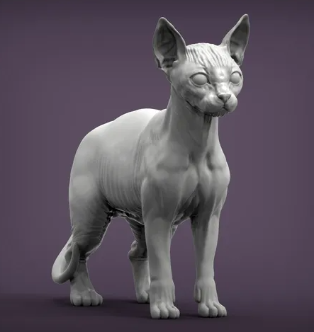 Sphynx Katze steht von Alexander3dart als 3D Druck