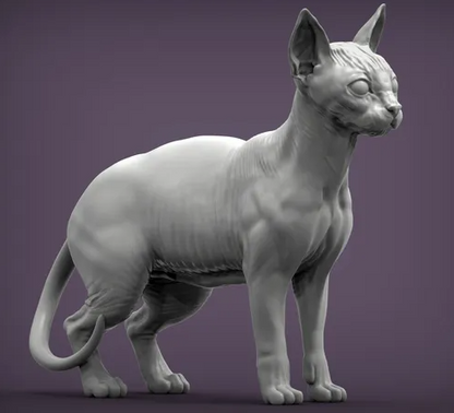 Sphynx Katze steht von Alexander3dart als 3D Druck